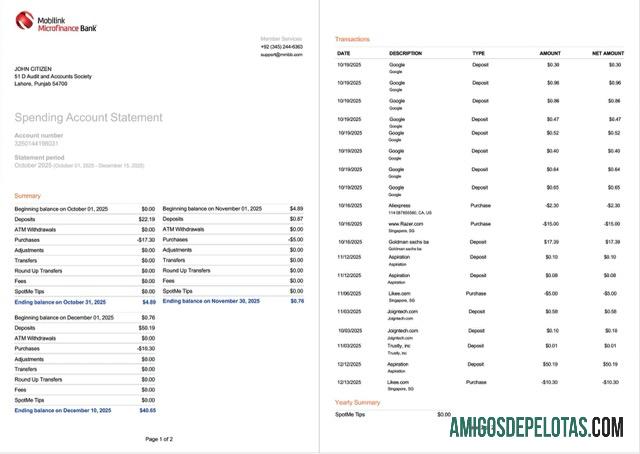 em branco Paquistão Mobilink Microfinance Extrato bancário modelo Word e PDF, 2 páginas, versão 2